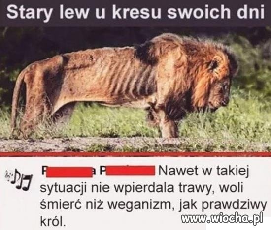 Prawdziwy król