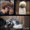 Szkoda mi tych zwierząt
