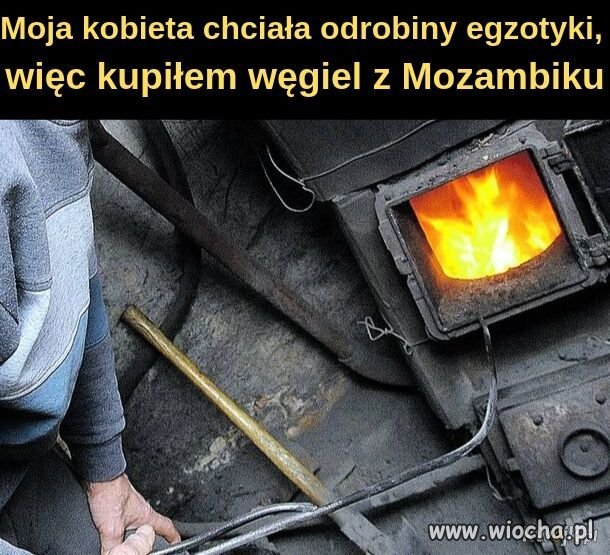 Odrobina egzotyki