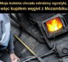 Odrobina egzotyki