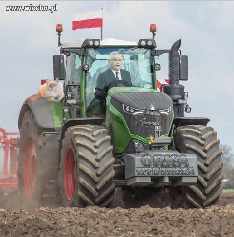 Zabawy chłopców  w fotoshopie 