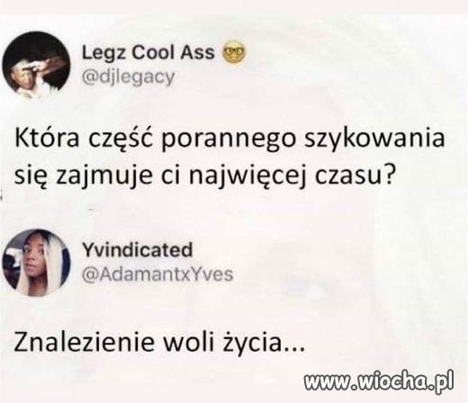 Coś w tym jest