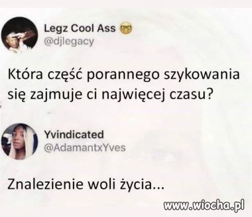Coś w tym jest