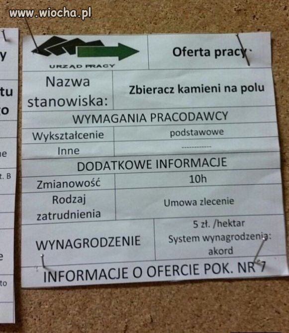 Ktoś chętny? 