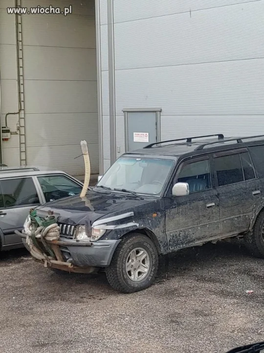 Norweski tuning. 