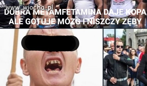 Zwolennik PPD