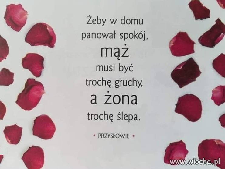Swięta prawda...