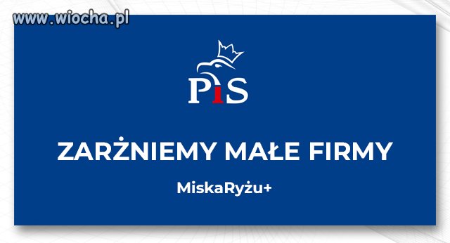 Przedsiębiorco, głosuj na nas 