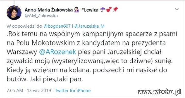 Psy gwałciciele