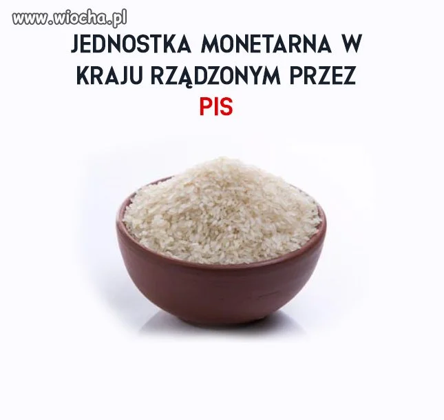 Micha ryżu 