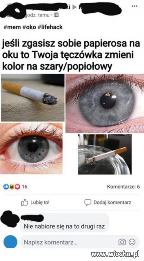 Nauka nie 