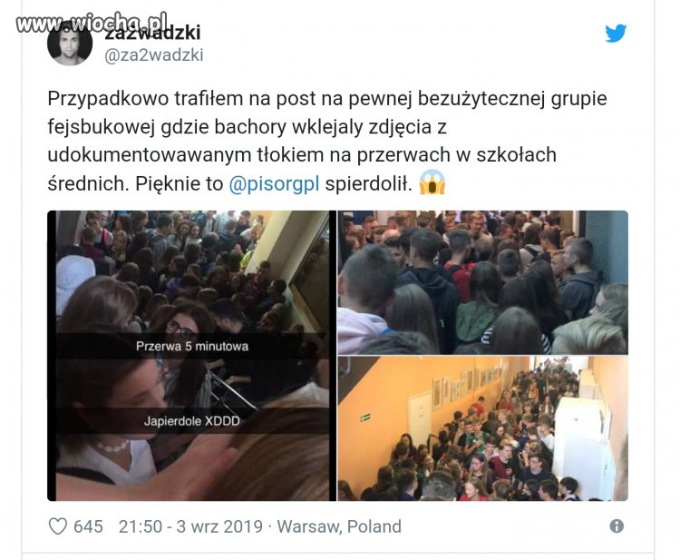Witajcie w pisowskiej dżungli