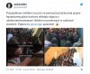 Witajcie w pisowskiej dżungli