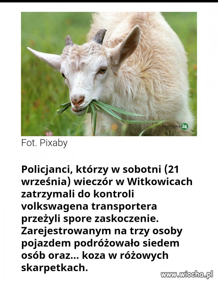 A wy warszawskie cieniasy to jakie macie imprezy?