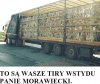 I taka prawda