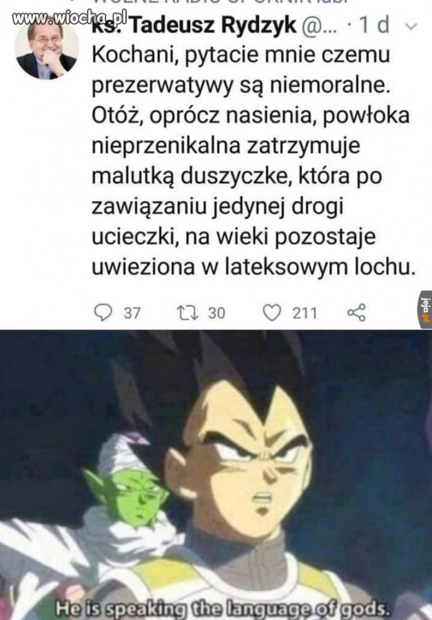 Madrosci