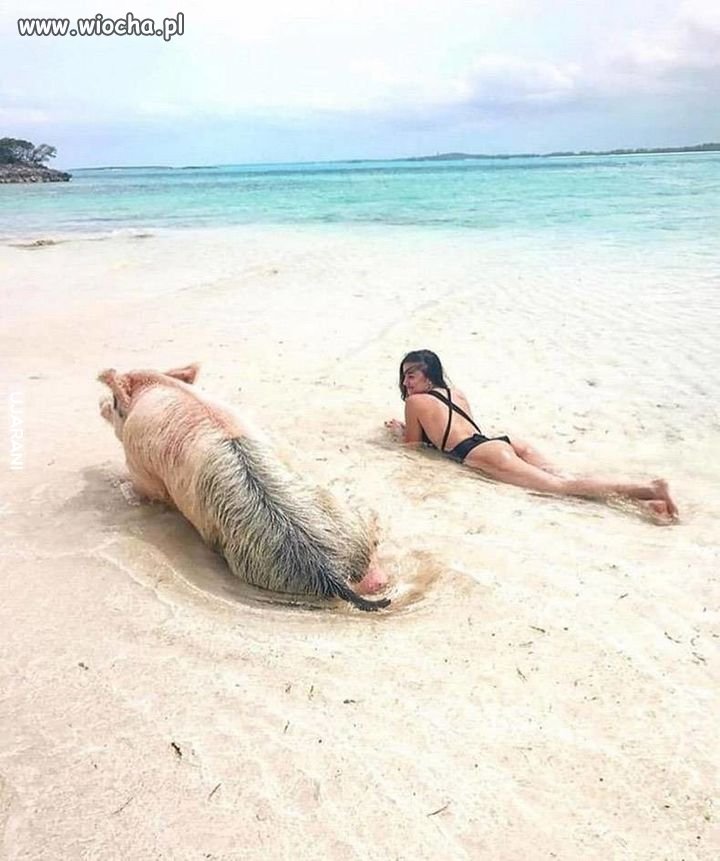 Jak to na plaży