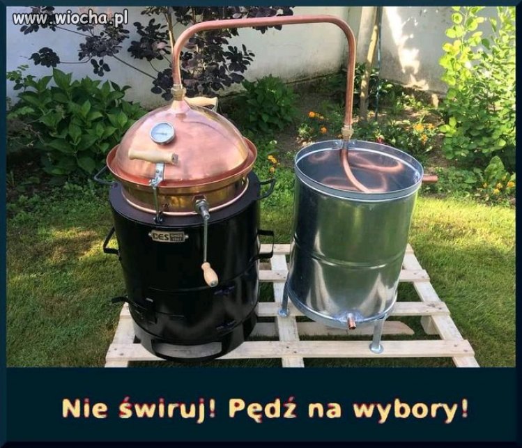 Kto się przyłączy do akcji wyborczej?