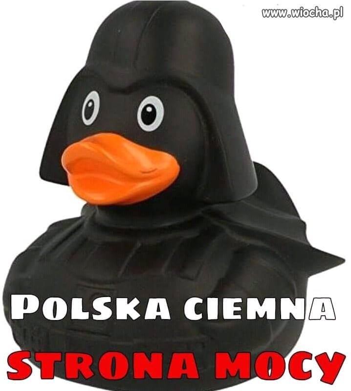 Trzeba pogonić to towarzycho w najbliższych ...