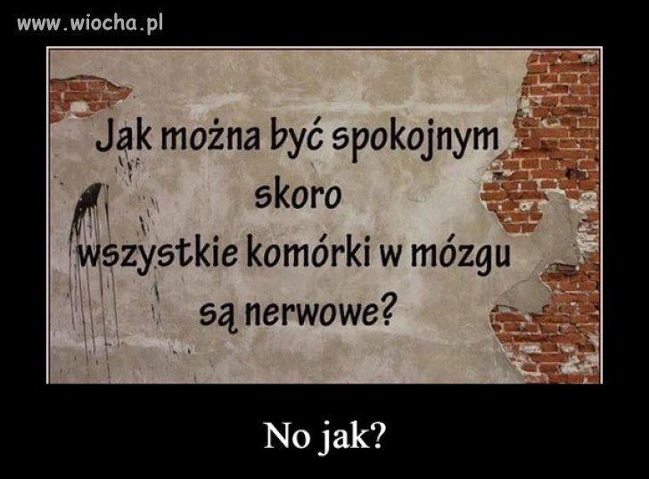 Jak żyć?