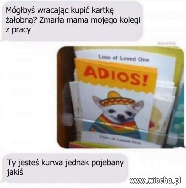 Ty jesteś ...