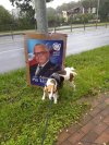 I ty mi pieseł zaimponowałeś
