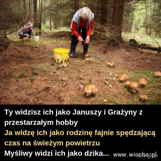 Na grzybach 
