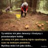 Na grzybach 