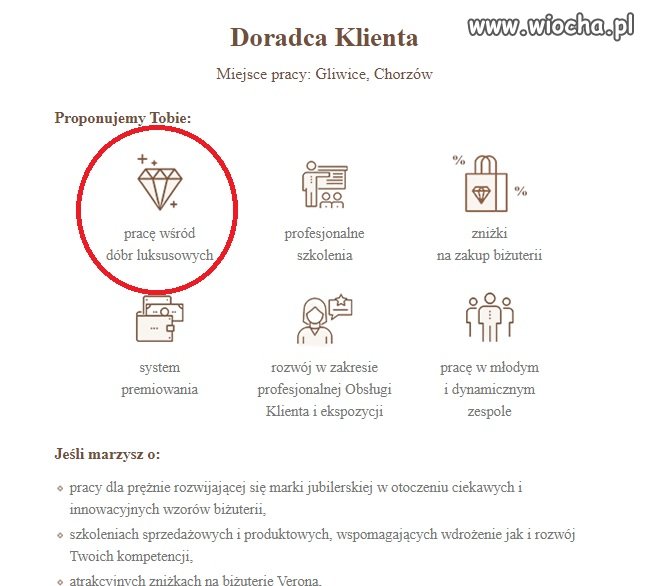 Oferta pracy
