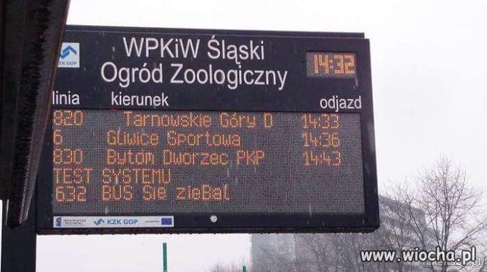 Rzetelna informacja
