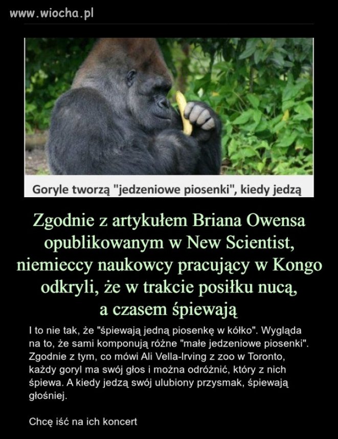 Jedzeniowe piosenki