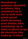 Badania