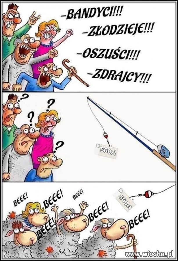 Kupić stado baranów za ich własna kasę 