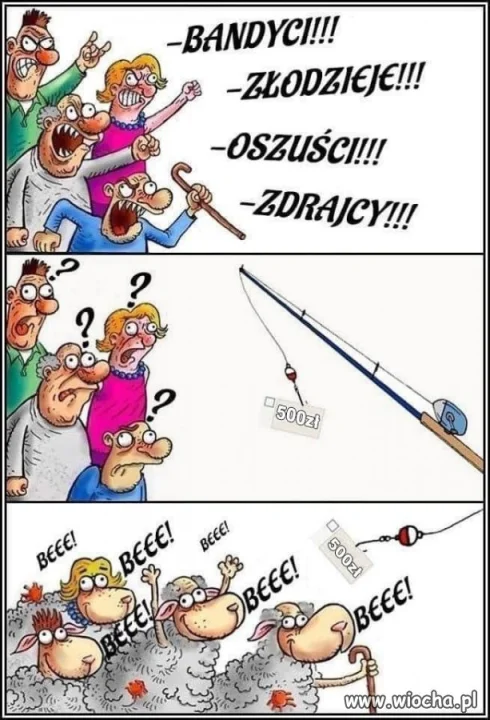 Kupić stado baranów za ich własna kasę 