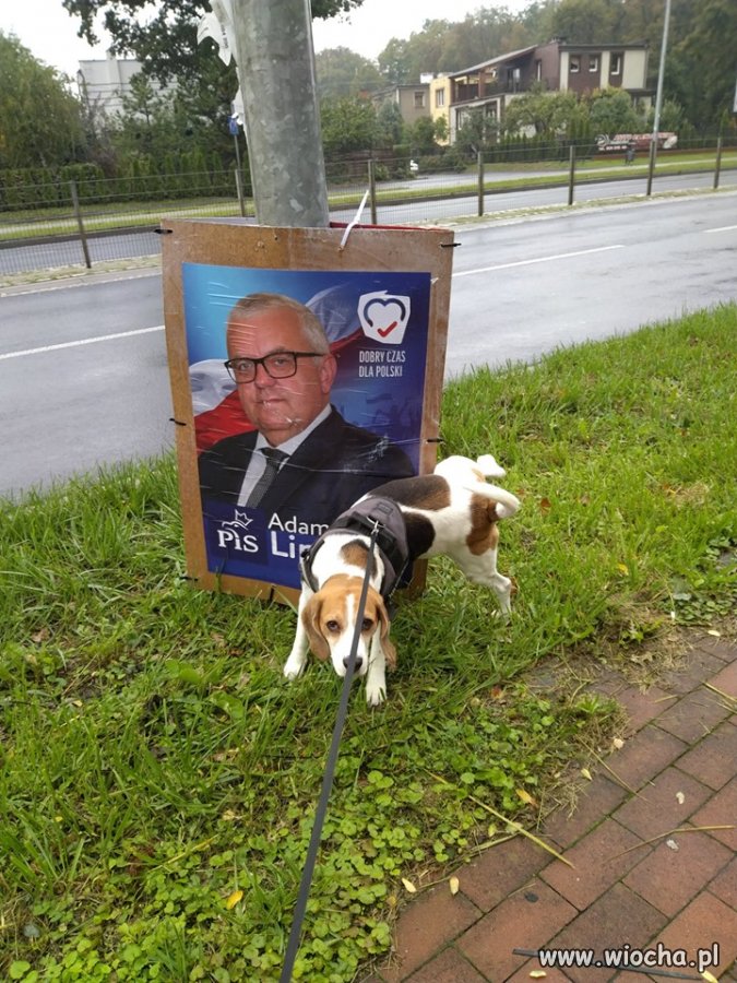 Nic nie trzeba było przerabiać w fotoszopie