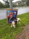 Nic nie trzeba było przerabiać w fotoszopie