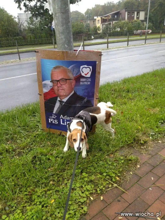 Nic nie trzeba było przerabiać w fotoszopie