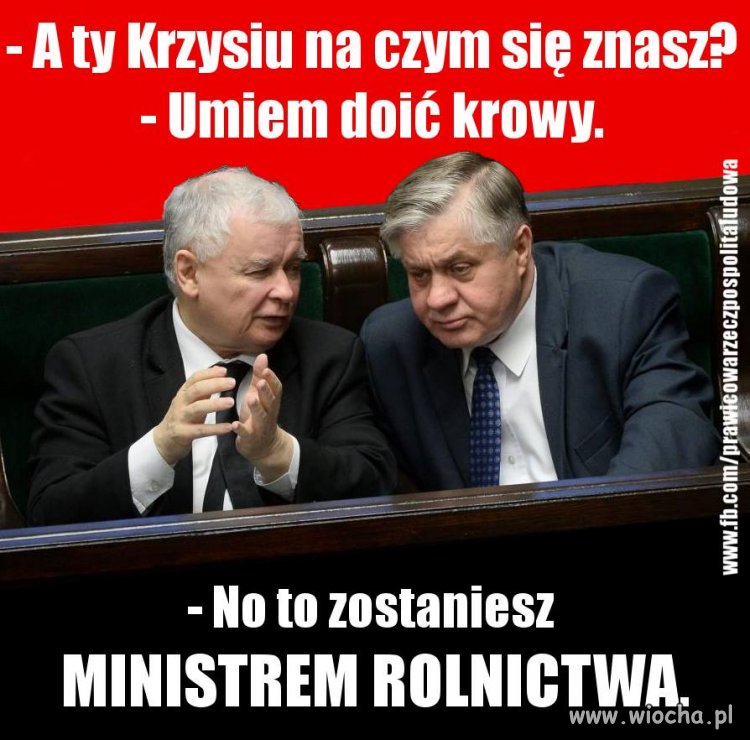 Rozdawanie
