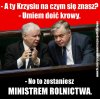 Rozdawanie