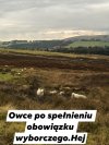 Wybory i po wyborach