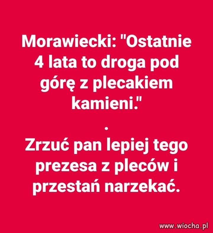 Plecak