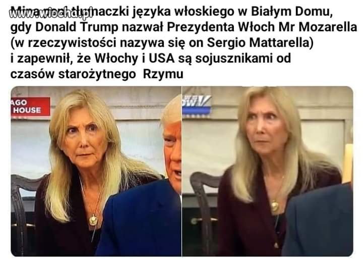 Tłumacz to też ciężki zawód 