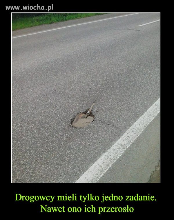 Drogowcy