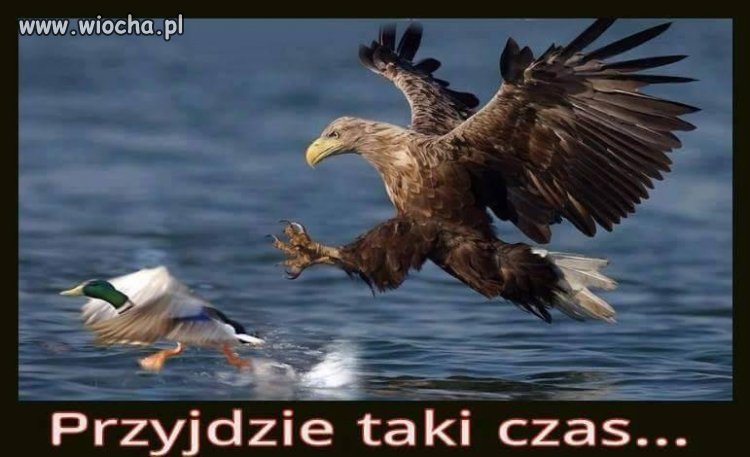 Jeszcze przyjdzie