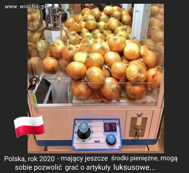 Pisiaki-cebulaki zapewne zagrają