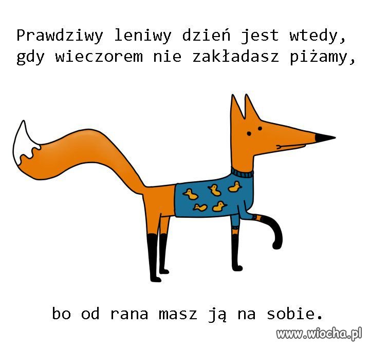 No właśnie 