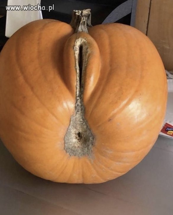 Natura też potrafi