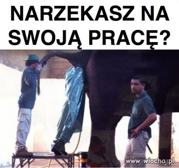 Narzekasz na swoją pracę?