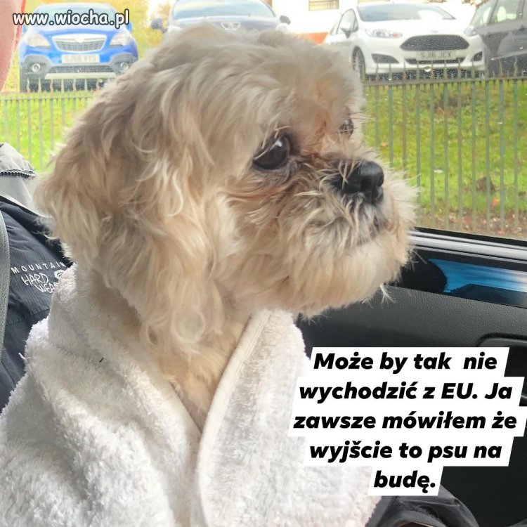 Ploblemy Boryska