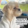 Ploblemy Boryska
